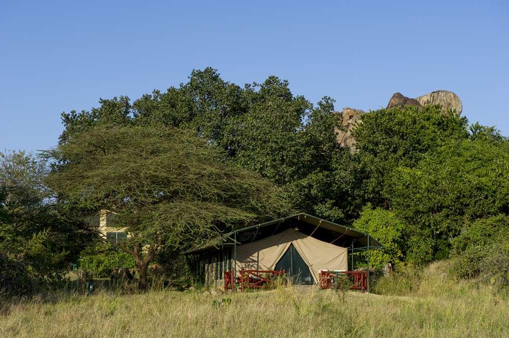 Mbuzi Mawe Serena Camp Serengeti Rom bilde